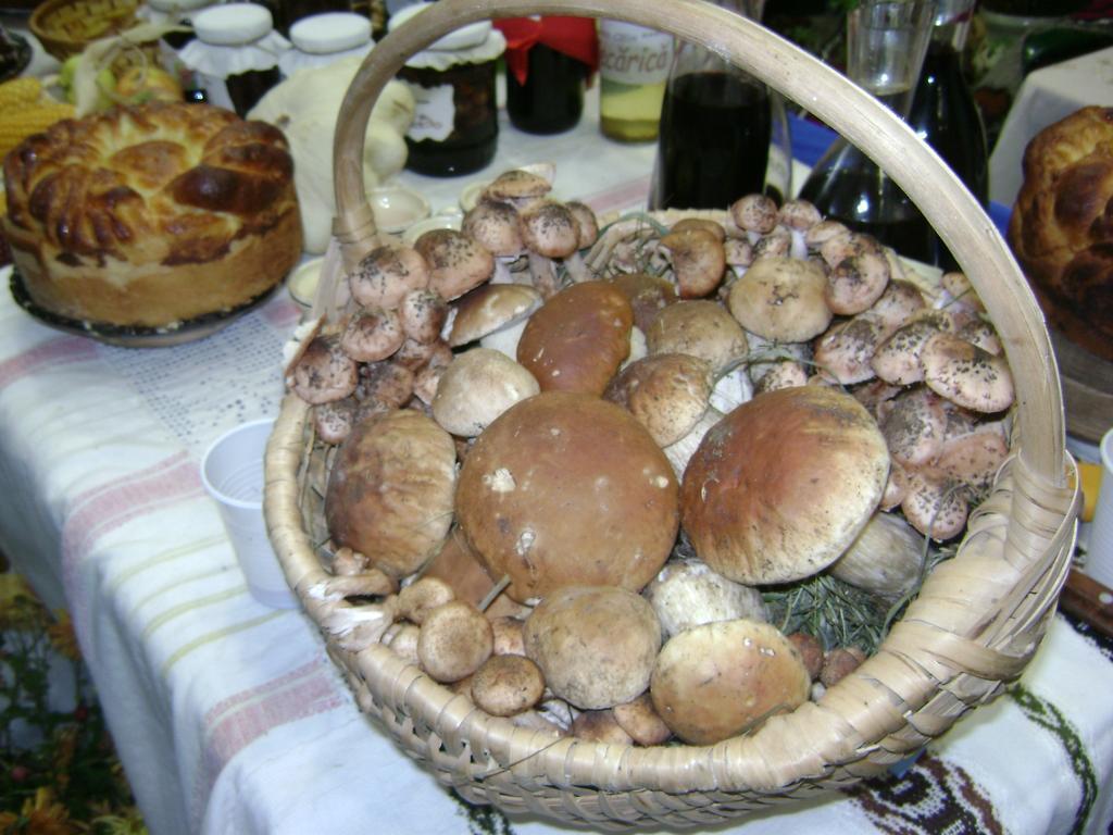 Casa Bunicii Din Bucovina Villa Vama  Ruang foto