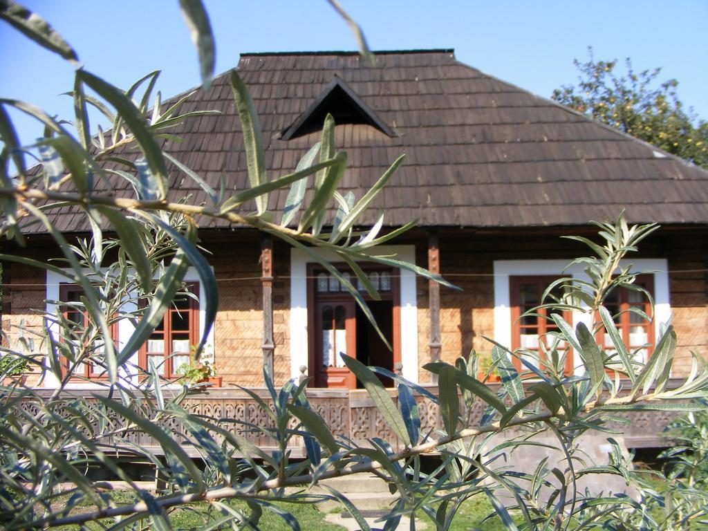 Casa Bunicii Din Bucovina Villa Vama  Bagian luar foto